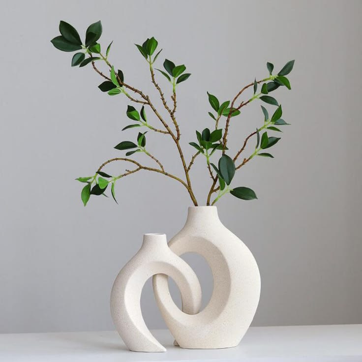 Plants & Vases