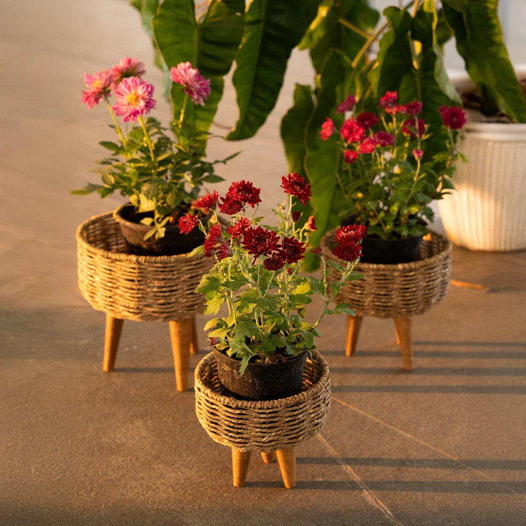 Handmade Jute Planter Set of 3 | Handwoven Joot Planter with Wooden Stand | Eco Friendly Indoor Outdoor Flower Pot | Decorative Home Décor Basket Planters